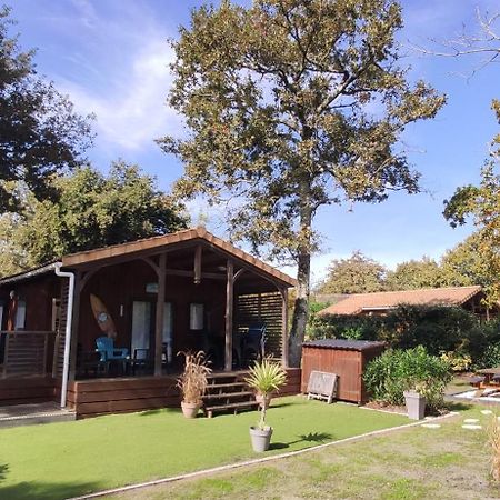 לה-טסט-דה-בוש Chalet Prestige Au Coeur Du Bassin D'Arcachon מראה חיצוני תמונה