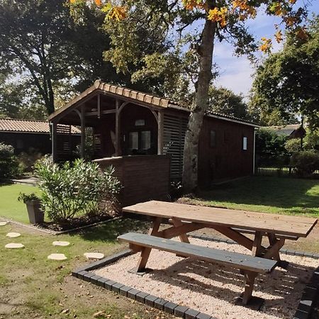 לה-טסט-דה-בוש Chalet Prestige Au Coeur Du Bassin D'Arcachon מראה חיצוני תמונה