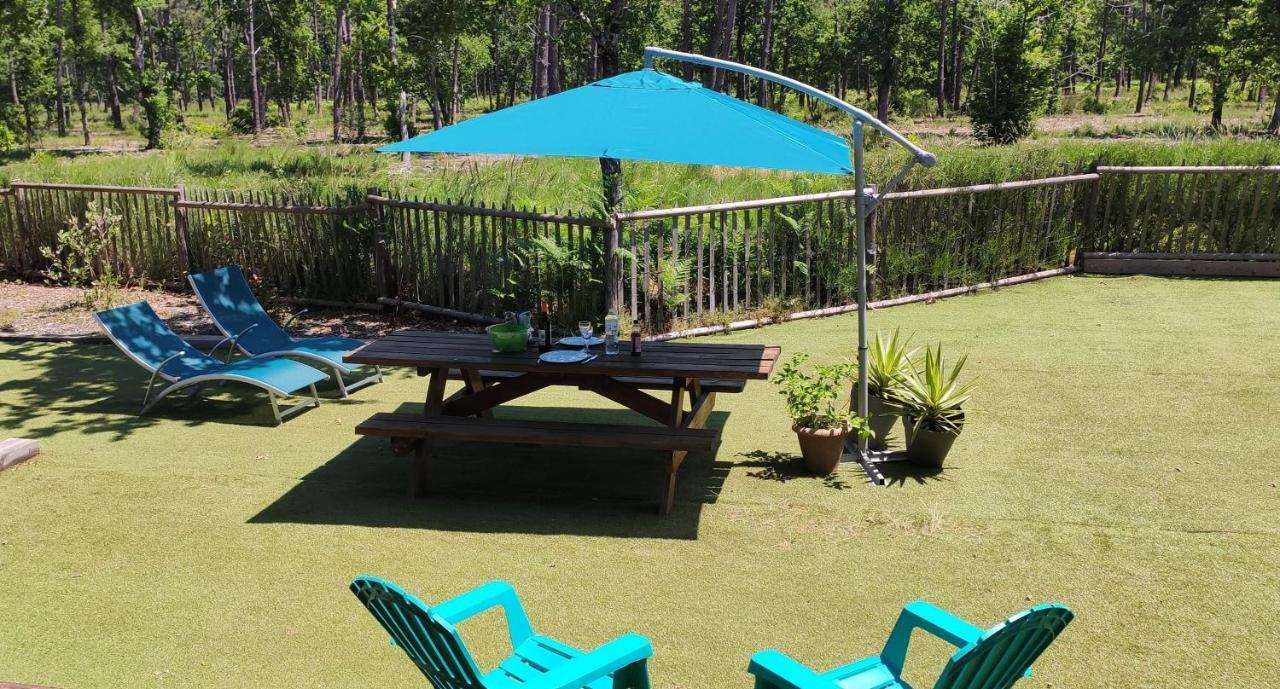 לה-טסט-דה-בוש Chalet Prestige Au Coeur Du Bassin D'Arcachon מראה חיצוני תמונה