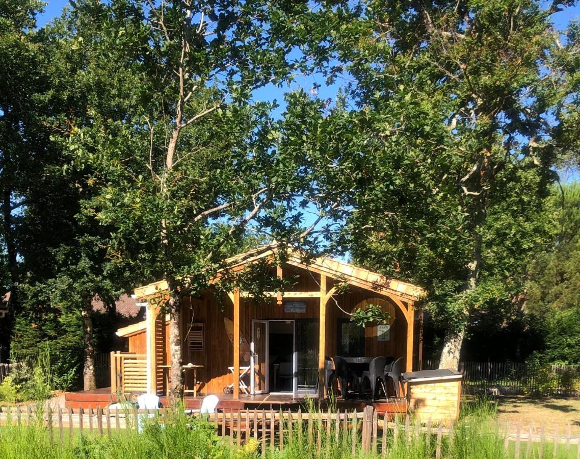 לה-טסט-דה-בוש Chalet Prestige Au Coeur Du Bassin D'Arcachon מראה חיצוני תמונה